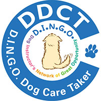 DINGO ケアテイカー