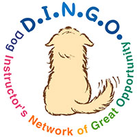 DINGO インストラクター