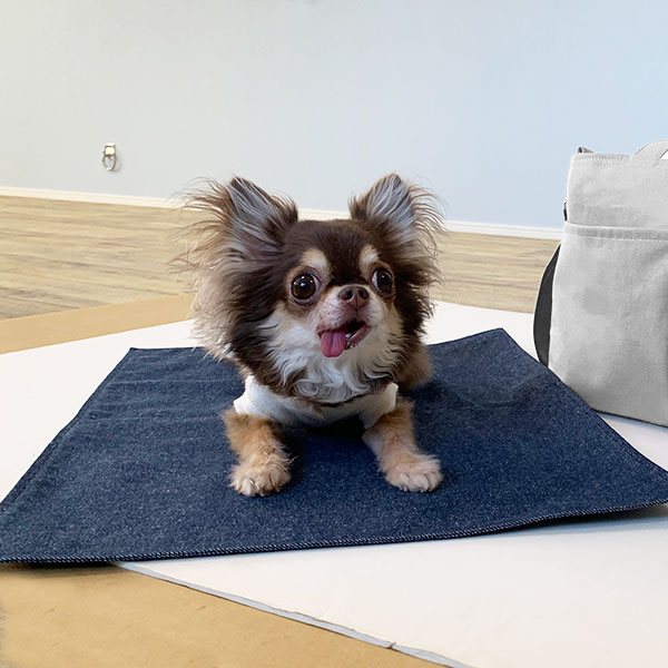 犬　入園　プレゼント　お座りマット