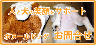 お問合せ・ご相談・カウンセリング申し込み